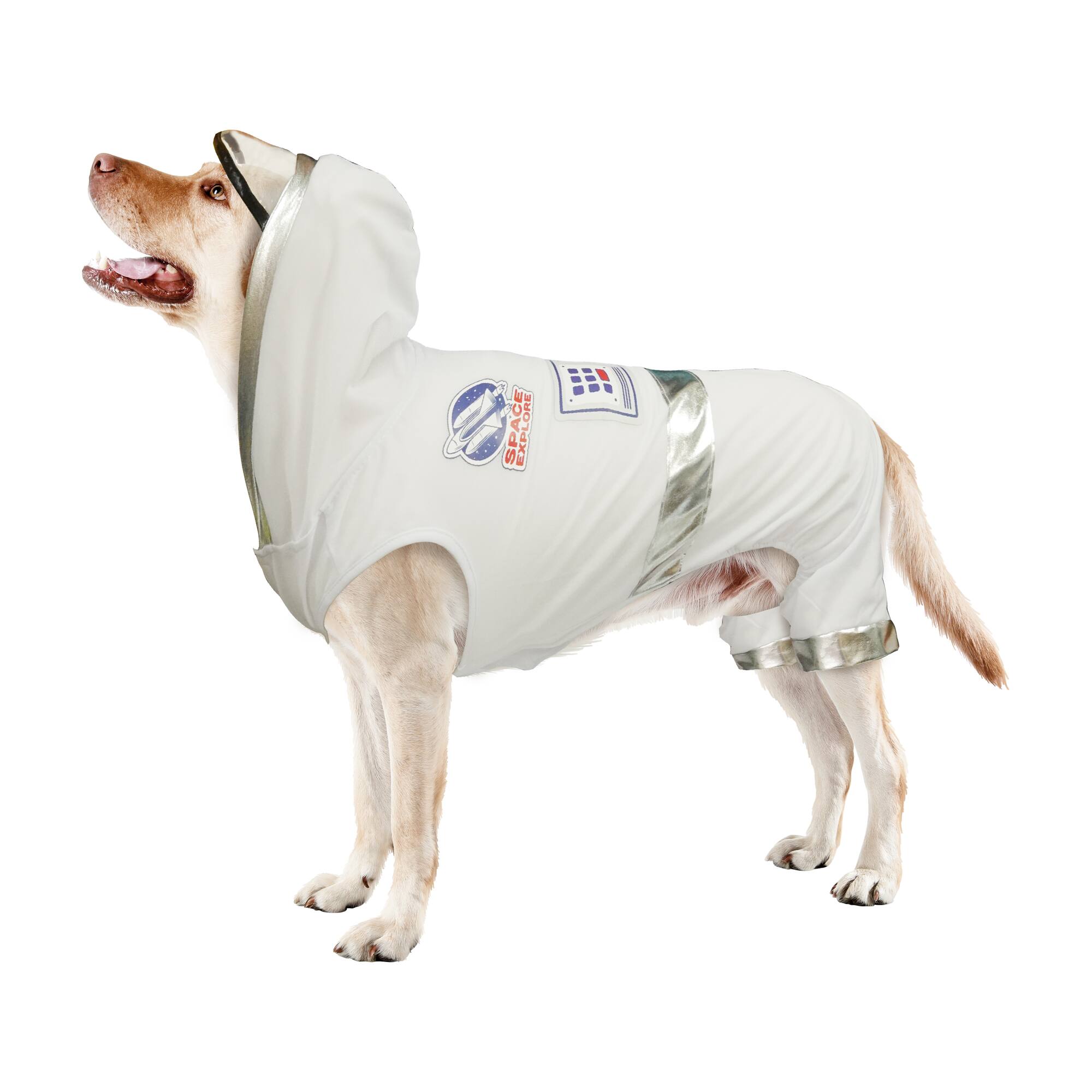 Best Furry Friends Astronaut Pet Costume